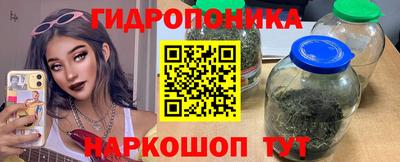 ALPHA PVP Гай