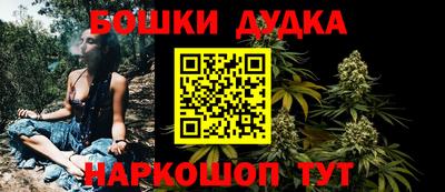 ALPHA PVP Гай