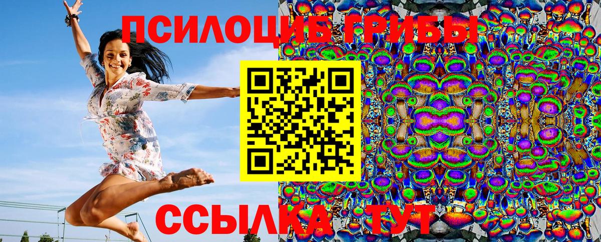 закладка  Псилоцибиновые грибы мицелий  Псилоцибиновые грибы MAGIC MUSHROOMS  Вход с VPN  Мурманск 